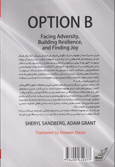 راه حل جایگزین