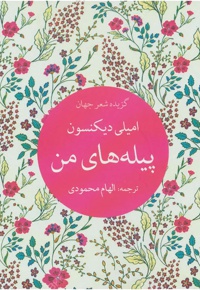 پیله های من