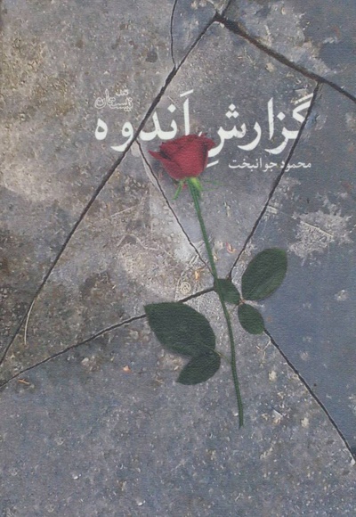 گزارش اندوه - ناشر: نیستان - نویسنده: محمود جوانبخت
