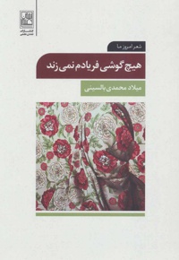 هیچ گوشی فریادم نمی زند