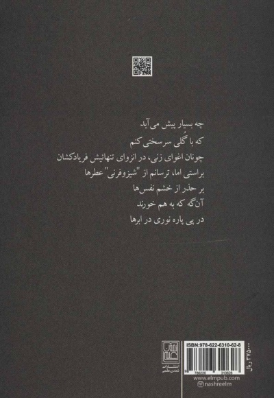 چهره ام را پشت در می آویختم