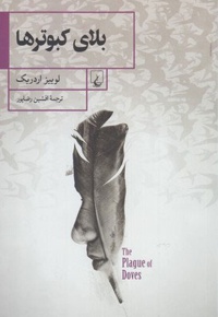 بلای کبوترها