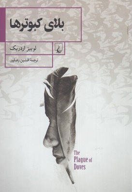 بلای کبوترها