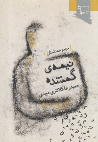 نیمه ی گمشده