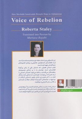 صدای طغیان