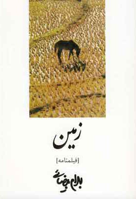 زمین