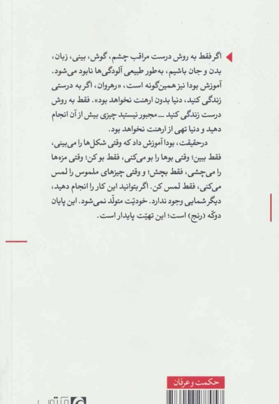 درخت بی مغز