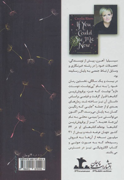 اگر اکنون می توانستی مرا ببینی