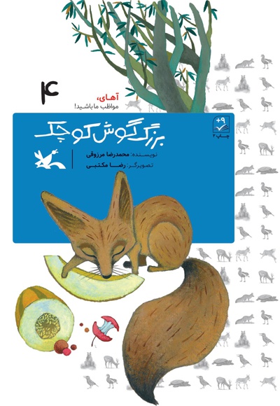 بزرگ گوش کوچک (خشتی)