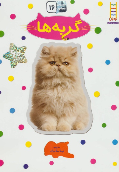 گربه ها - نویسنده: مجموعه ی نویسندگان - ناشر: فنی ایران