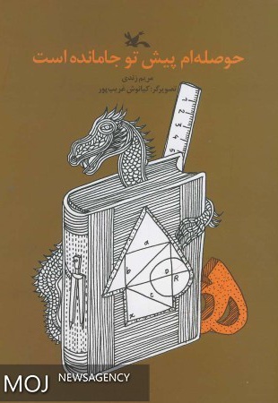 حوصله ام پیش تو جا مانده