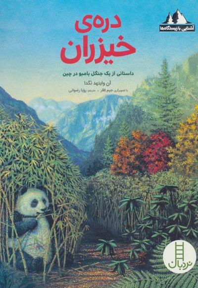 دره ی خیزران
