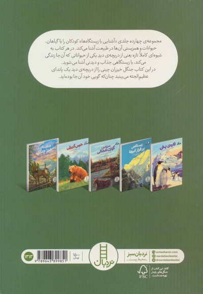 دره ی خیزران