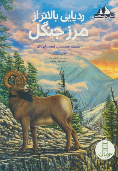 ردپایی بالاتر از مرز جنگل