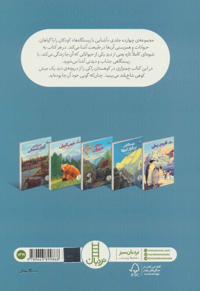 ردپایی بالاتر از مرز جنگل