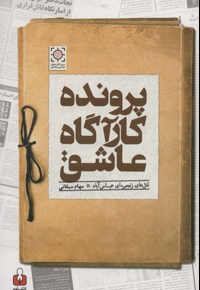 پرونده کارآگاه عاشق