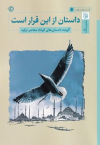 داستان از این قرار است