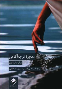 معجزه توجه آگاهی