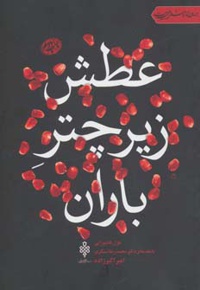 عطش زیر چتر باران