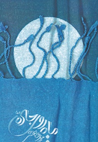 ماه روی جاده