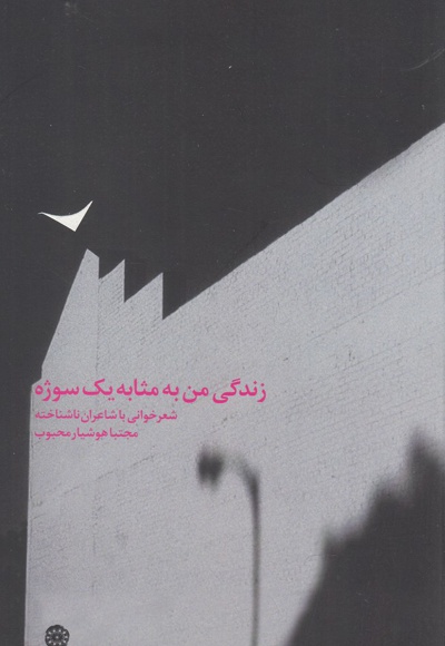 زندگی من به مثابه یک سوژه