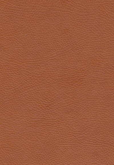 خرمگس