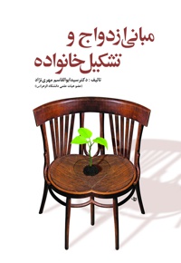 مبانی ازدواج و تشکیل خانواده - نویسنده: سید ابوالقاسم مهری نژاد - ناشر: آوای نور