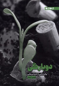 دوبارگی