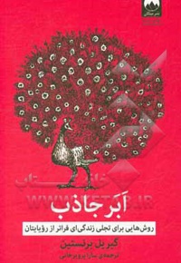 ابرجاذب: روش هایی برای تجلی زندگی ای فراتر از رویایتان