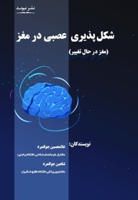 شکل پذیری عصبی در مغز