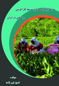 عوامل پایداری موثر بر توسعه کارآفرینی روستایی در ایران - نویسنده: امیر نبی زاده - ناشر: کلیدپژوه