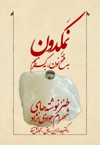 نمکدون