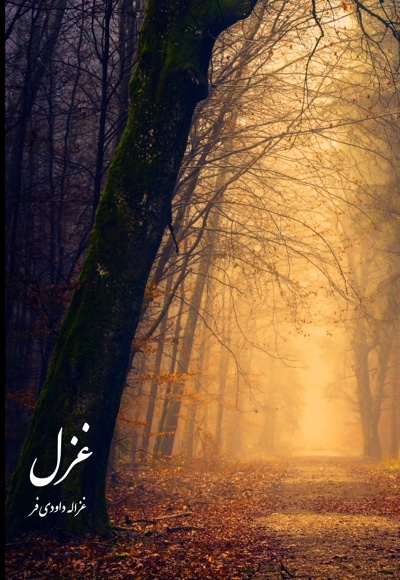 غزل