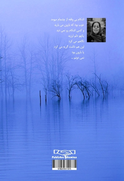 طنین