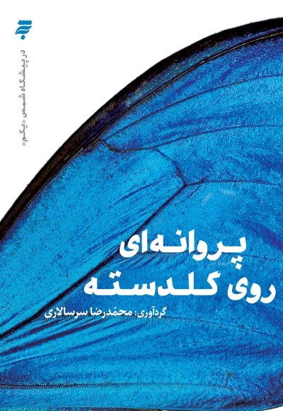 در پیشگاه شمس یکم - پروانه ای روی گلدسته - نویسنده: محمدرضا سرسالاری - ناشر: به نشر