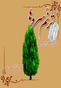 ترنم سروها