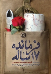 فرمانده 17 ساله