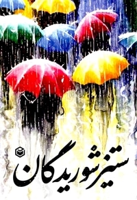 ستیز شوریدگان