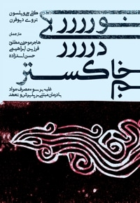 نوری در خاکستر