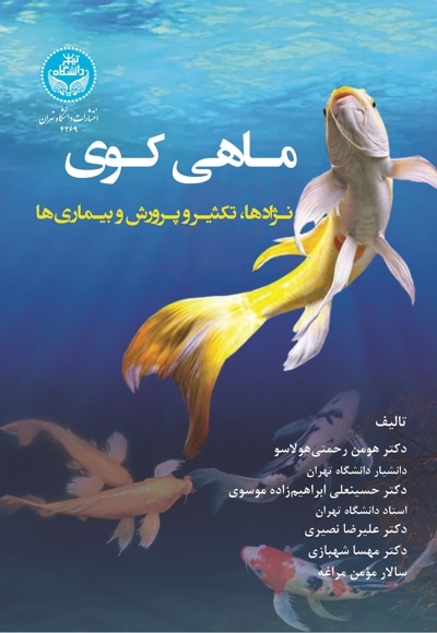 ماهی کوی - نویسنده: هومن رحمتی‌ هولاسو - نویسنده: حسینعلی ابراهیم‌ زاده‌ موسوی