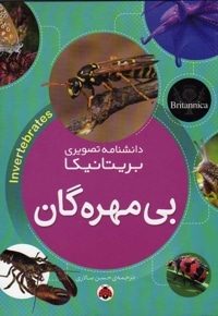 بی مهره گان