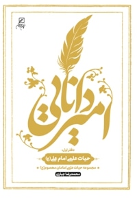 امیر دانایی