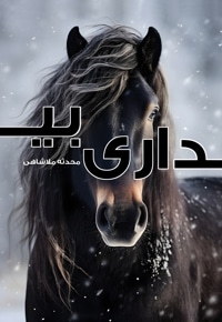 بیداری