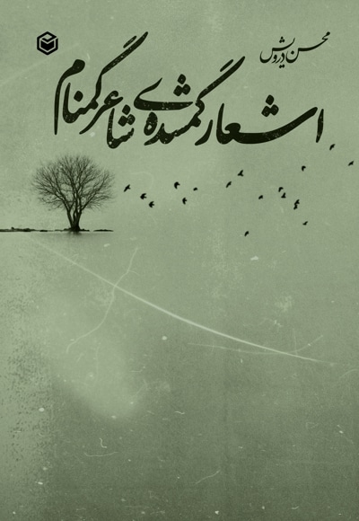 اشعار گمشده ی شاعر گمنام