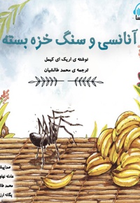 آنانسی و سنگ خزه بسته