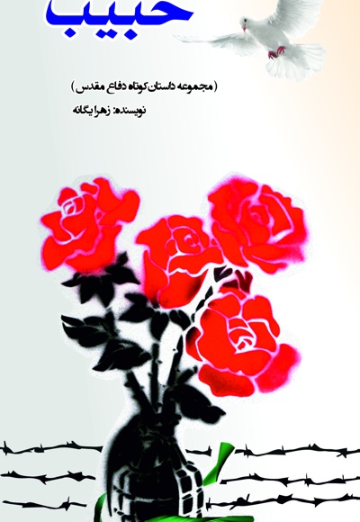 حبیب