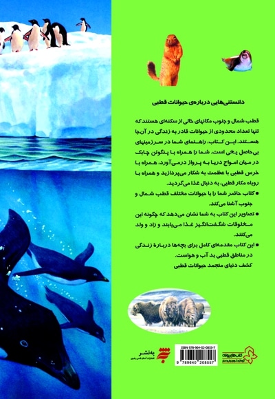 دانستنی هایی درباره ی حیوانات قطبی