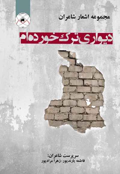 دیواری ترک خورده ام - نویسنده: فاطمه یارندپور - ناشر: ماهواره