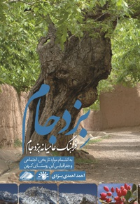فرهنگ عامیانه بزد جام - نویسنده: احمد احمدی یزدی - ناشر: آواهیا