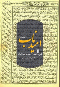 امید ناب (جلد اول)